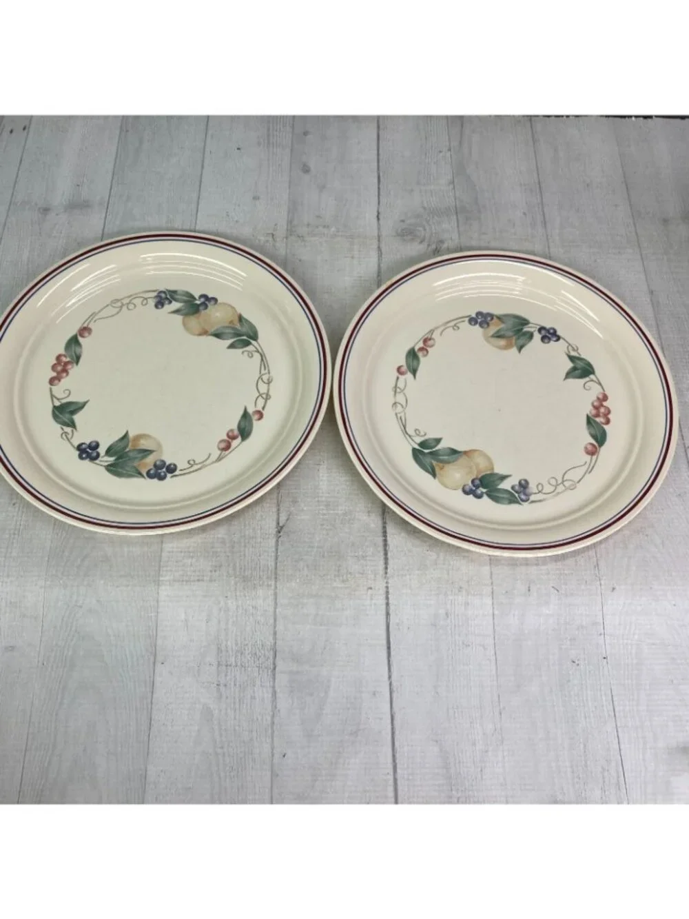 Corelle ABUNDANCE Cornerstone Beige Fruits Blue Maroon Bands Dinner Plates Set 6